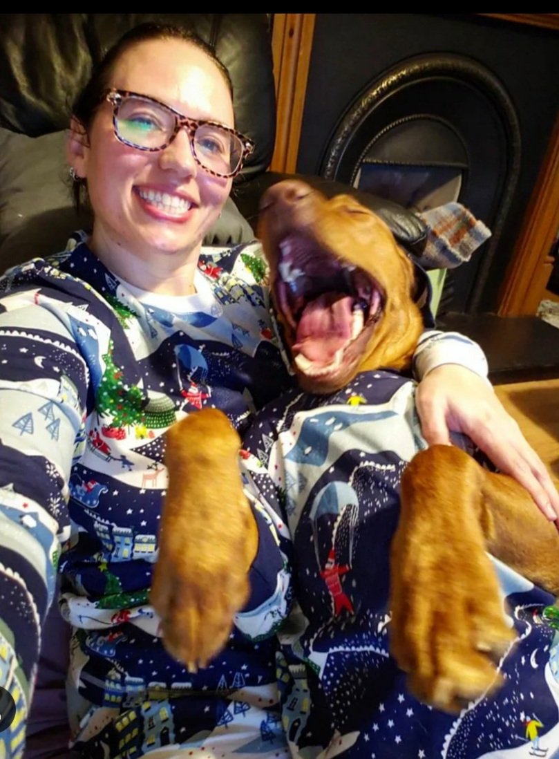 #ToyShow ready, I swear he's yawning not on the attack 🤣