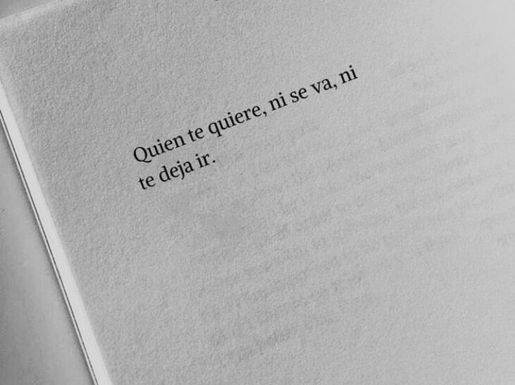 Vortex Reach | AltCoin Launch Alpha tweet media