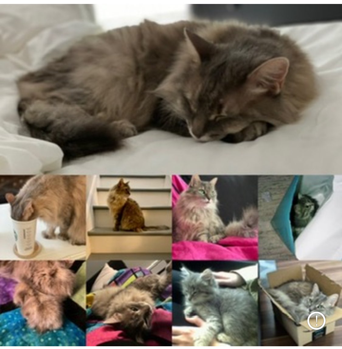 Missing you Lucy ❤️