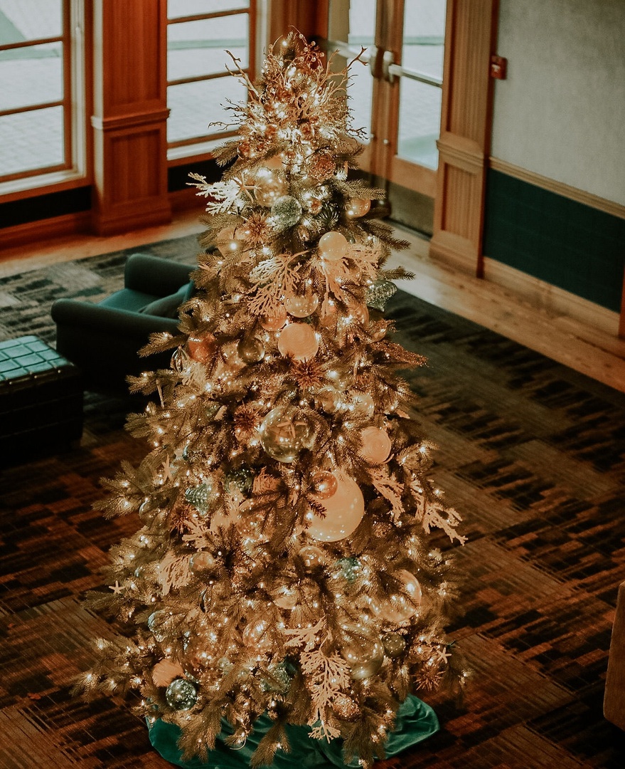 Did you miss out on our exclusive email only Black Friday offer?

Well, you're in luck - we're giving away one more chance. Sign up to receive our resort emails and end the weekend planning a seaside getaway. 🎁 

Sign Up Here: bit.ly/3Ggy5GQ