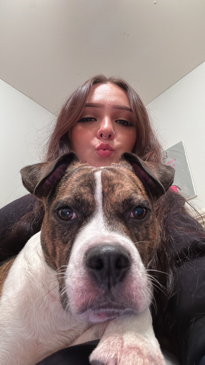 hoe4mothman's tweet photo. puppy https://t.co/8zxn8xHLNK