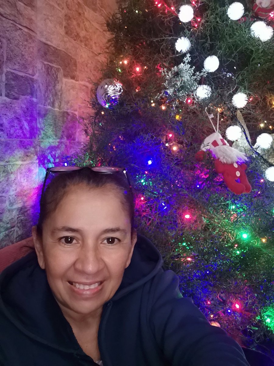 irigorcha's tweet image. Ya termine de hacer mi árbol para esta navidad 🥰🎄🎅🤶