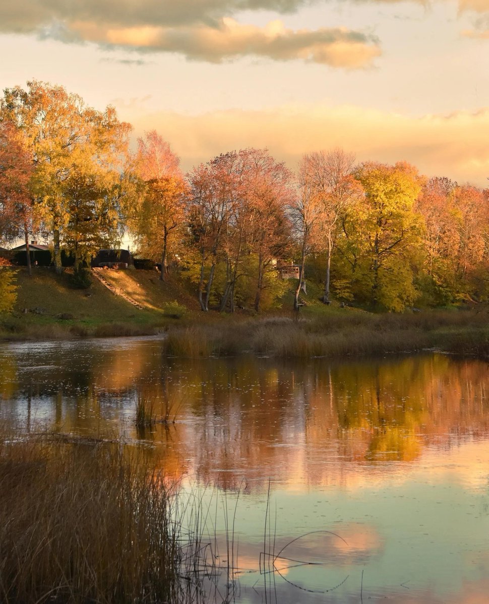 ' Autumn Light. ' ✨️🍂 14th November 2023 Golden autumn and warm autumn sunset light, reflecting on the river. Estonia. 📷️: clickasnap.com/profile/marjem…