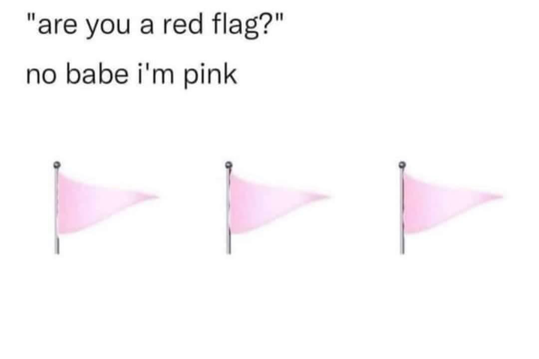 briannamoroll ☁︎ (@blossomybri) on Twitter photo 