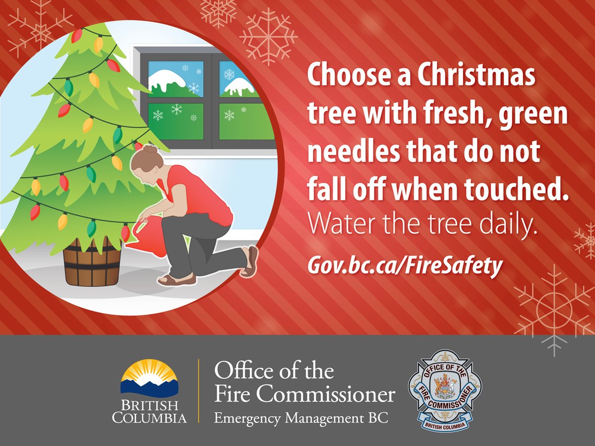 If you are out to choose a tree this weekend please see the tip below. Once you get it home; definitely keep it watered.