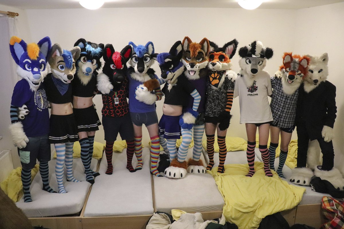 🌈 Amju Wolf 🐾 🐺 (@amju_wolf) on Twitter photo When <a href="/AngyPaws/">Angy Paws - 🧱🔥🍾</a> deliver on a #FursuitFriday 🧦
With <a href="/RokajTheHusky/">Rokaj</a>, <a href="/Whity_Inu/">Whity 🔜NFC</a>, <a href="/RapidtheHusky/">Rapid</a>, <a href="/KuramaTheWolf/">KuramaTheWolf</a>, me >//<, <a href="/SwiftyHooskie/">Swͪiͦfͦt̾yⷦ 🏳️🌈 🔜 ČesFur</a>, horny <a href="/TravisTheFoxDog/">Travis</a>, <a href="/LachimF/">Lachim_Fox</a>, <a href="/memoarichiku/">Memo-ari</a> and a certain fox and a wolf 👀.
Pic 📷 by <a href="/lukybollard/">Luky Bollard</a>, sorry for keeping you awake 😅. When <a href="/AngyPaws/">Angy Paws - 🧱🔥🍾</a> deliver on a #FursuitFriday 🧦
With <a href="/RokajTheHusky/">Rokaj</a>, <a href="/Whity_Inu/">Whity 🔜NFC</a>, <a href="/RapidtheHusky/">Rapid</a>, <a href="/KuramaTheWolf/">KuramaTheWolf</a>, me >//<, <a href="/SwiftyHooskie/">Swͪiͦfͦt̾yⷦ 🏳️🌈 🔜 ČesFur</a>, horny <a href="/TravisTheFoxDog/">Travis</a>, <a href="/LachimF/">Lachim_Fox</a>, <a href="/memoarichiku/">Memo-ari</a> and a certain fox and a wolf 👀.
Pic 📷 by <a href="/lukybollard/">Luky Bollard</a>, sorry for keeping you awake 😅.