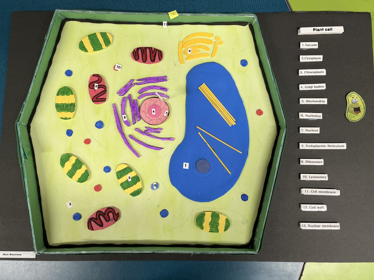 "Cell"ebrating our science learning in Grade 7/8.
UDL in action!
#STEM