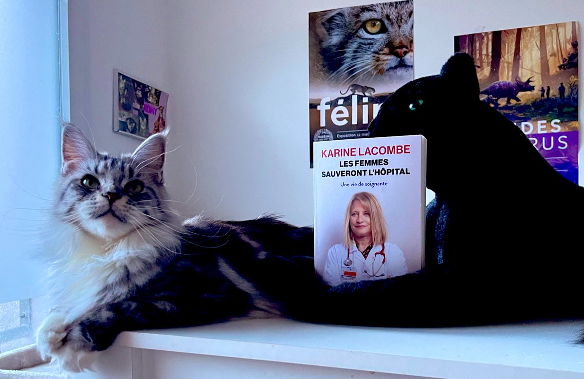 Cécile Simon (@roxane66) on Twitter photo #VendrediLecture 📖😺
Les femmes sauveront l’hôpital
<a href="/LacombeKarine1/">Karine Lacombe #CitoyensDuWeb</a> <a href="/EditionsStock/">Éditions Stock</a>
Revenant sur son parcours semé d’embûches d’étudiante et de médecin,KL raconte l’hôpital qui blesse et dysfonctionne
Pourtant la Pre est sûre que les femmes sauveront et réinventeront l’hôpital #VendrediLecture 📖😺
Les femmes sauveront l’hôpital
<a href="/LacombeKarine1/">Karine Lacombe #CitoyensDuWeb</a> <a href="/EditionsStock/">Éditions Stock</a>
Revenant sur son parcours semé d’embûches d’étudiante et de médecin,KL raconte l’hôpital qui blesse et dysfonctionne
Pourtant la Pre est sûre que les femmes sauveront et réinventeront l’hôpital