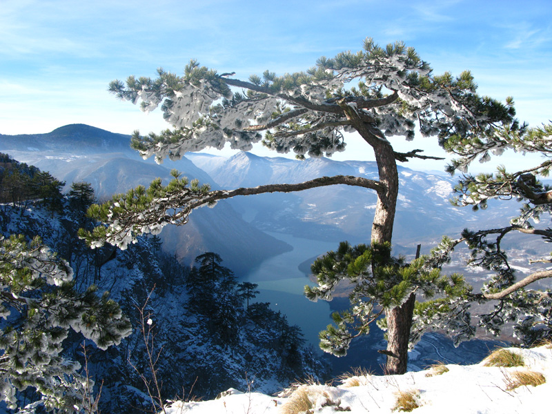 Natasa__Maric's tweet photo. #Tara #Mountain, located in western #Serbia 🇷🇸. https://t.co/QuzQuoGy7O