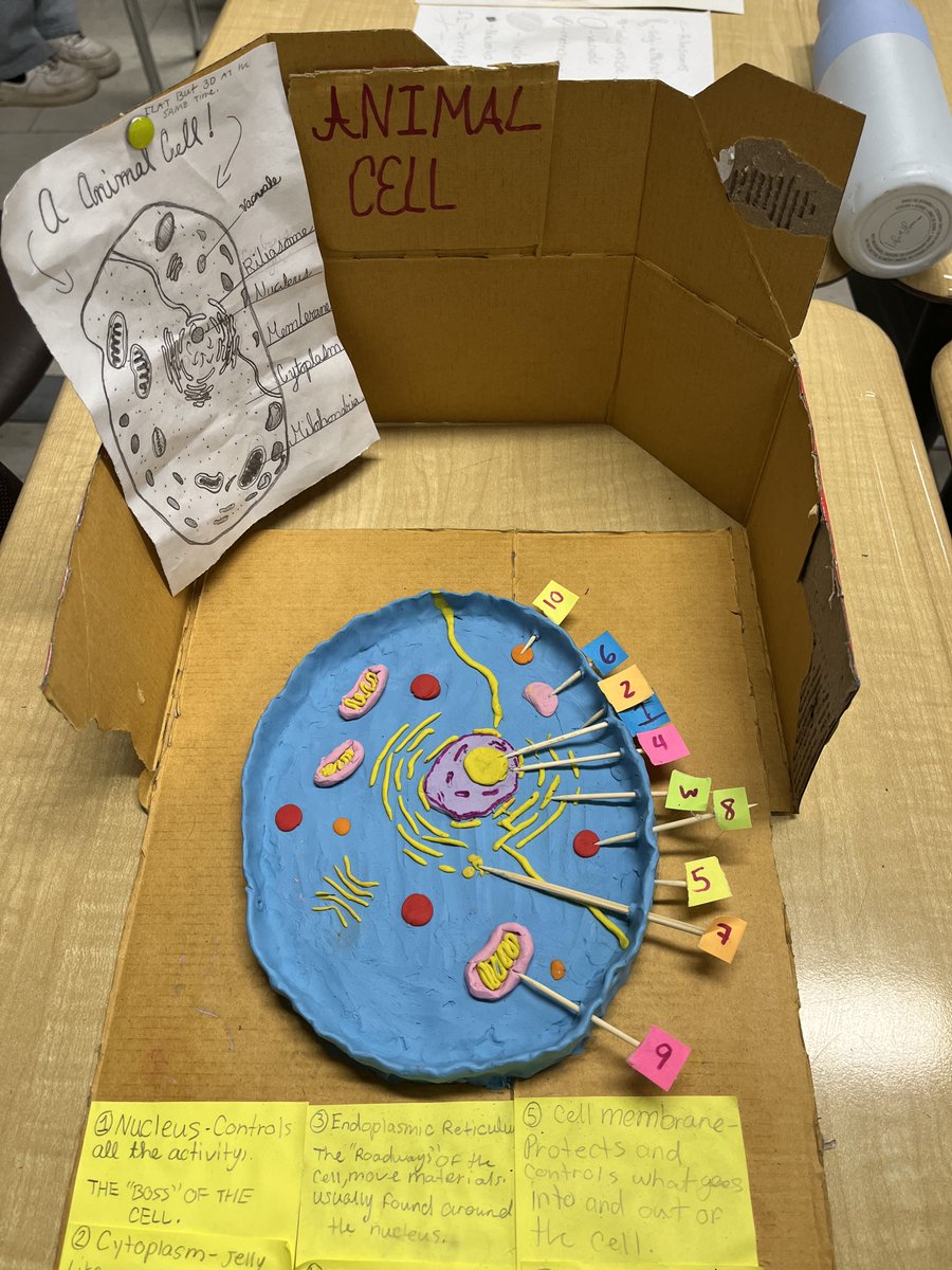 Waverly P.S. DDSB tweet media