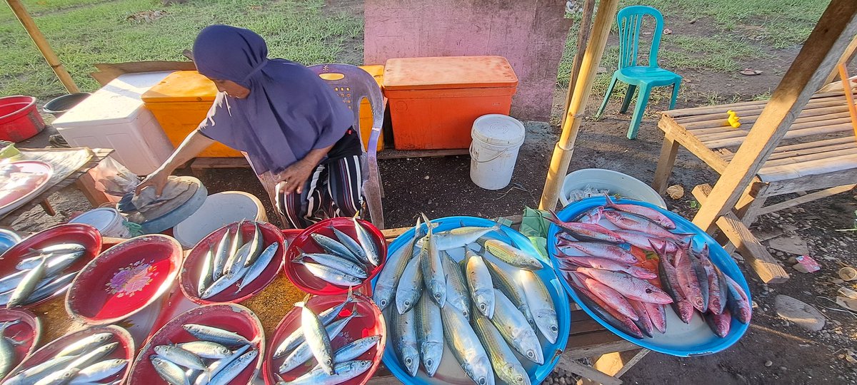 YohMariaVianei's tweet photo. Rabu (22/11), Yoh Maria  Vianei Keni Bolen, Luhkan Flores Timur, di Pemasar Ikan An. Irmayani Idris, asal Desa Waiburak, Kec. Adonara Timur, mendata produksi ikan layang dan ikan kembung, sebanyak 40 kg, harga Rp. 15.000-30.000/Kg
#GiatLuhkanSatminkalGondol 
#Flotim #produksi https://t.co/HsBVxDmgPl