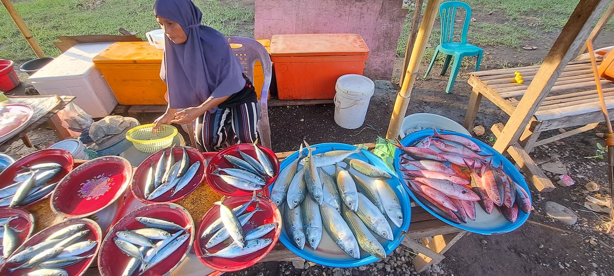 YohMariaVianei's tweet photo. Rabu (22/11), Yoh Maria  Vianei Keni Bolen, Luhkan Flores Timur, di Pemasar Ikan An. Irmayani Idris, asal Desa Waiburak, Kec. Adonara Timur, mendata produksi ikan layang dan ikan kembung, sebanyak 40 kg, harga Rp. 15.000-30.000/Kg
#GiatLuhkanSatminkalGondol 
#Flotim #produksi https://t.co/HsBVxDmgPl