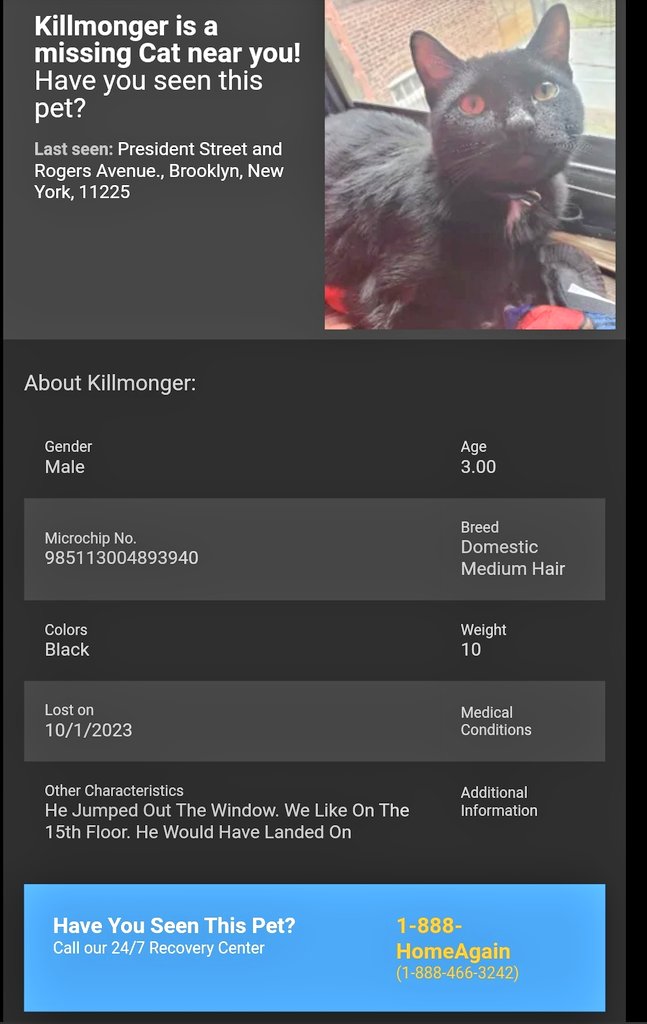 MeowMiya88's tweet photo. 📢🇺🇸🗽🆘️😿Please RT to find Killmonger #NYC #missingcat #lostcat #Brooklyn #CatsOfTwitter #CatsOfX https://t.co/YHuIcBqF0T