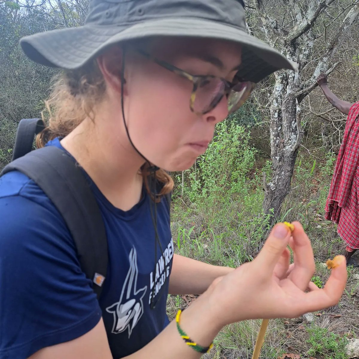 Traditional herbal medicinal is a holistic health approach that involves food supplements in treating specific illnesses within the human body. This traditional knowledge has been practised by indigenous communities for centuries to improve their livelihoods and general welfare.
