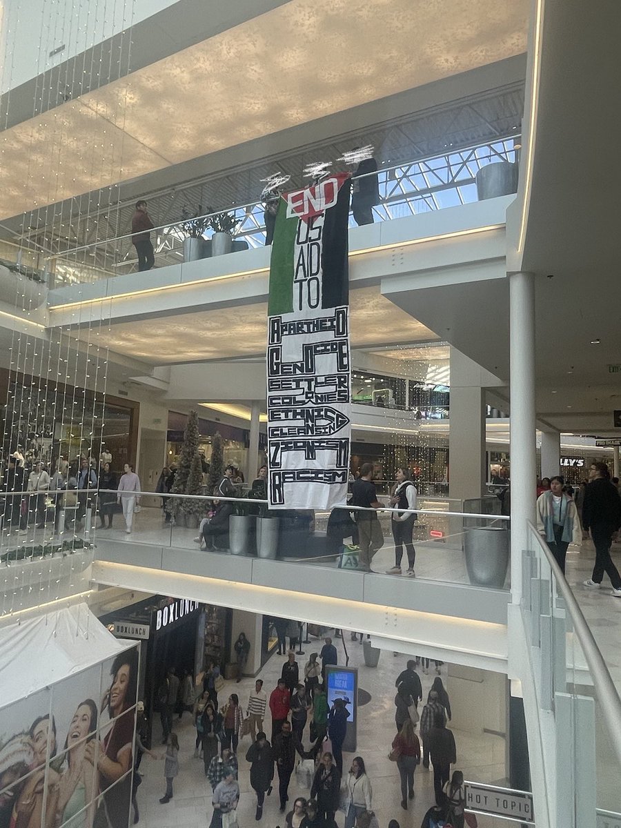 Banners dropped at the Mall of America on #BlackFriday #FreePalestine #StoptheSlaughter