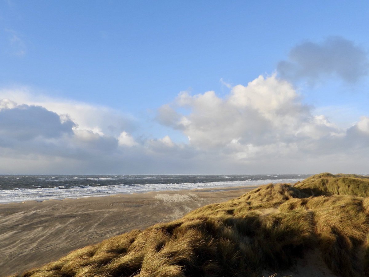 Strand #Hollum #Ameland.