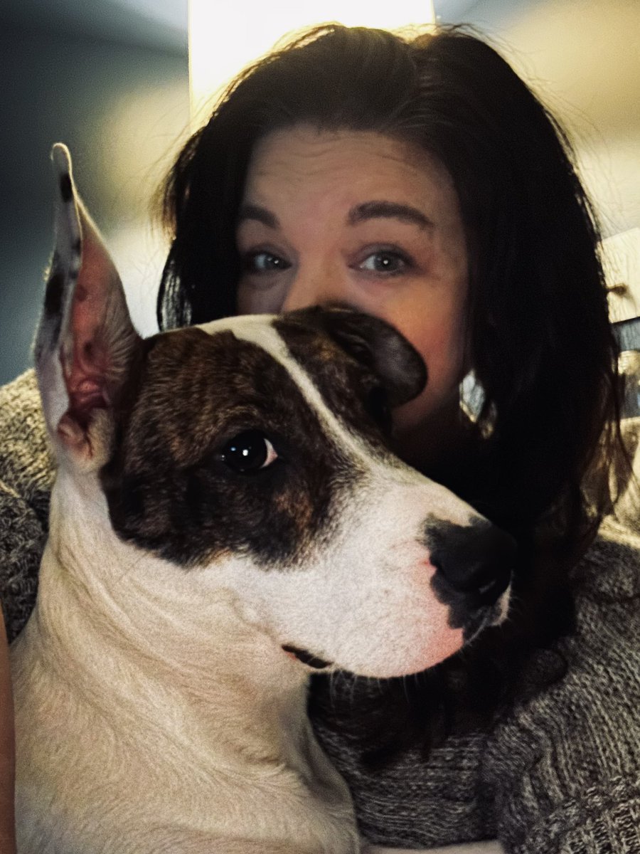 MissMetaverse.eth tweet media