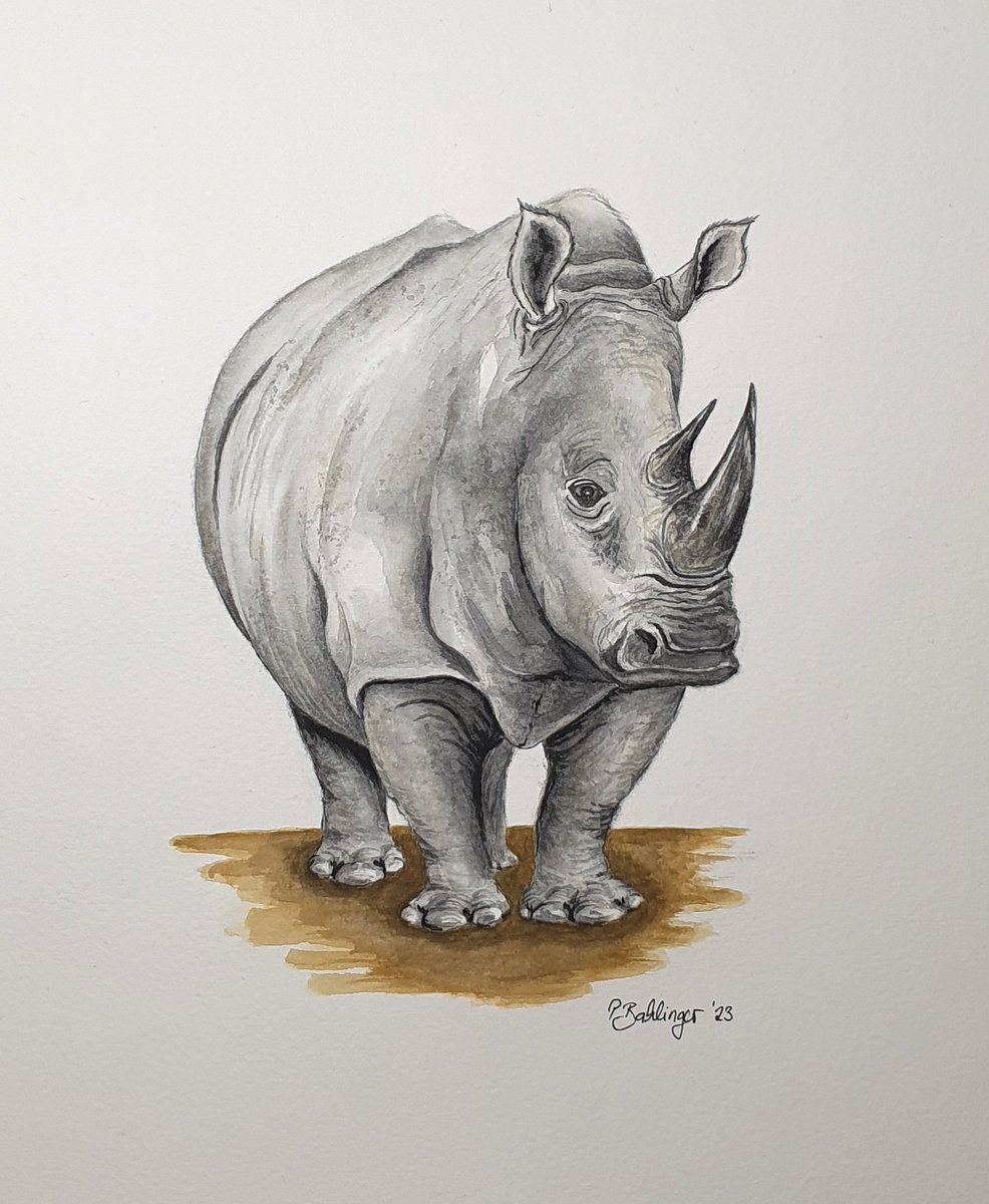 #RhinoFriday #artwork #watercolor #animalpainting #kleineKunstklasse #rhinos
#ExtinctionIsForever
