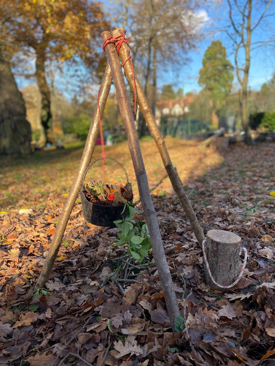 Wild Lives Forest School tweet media