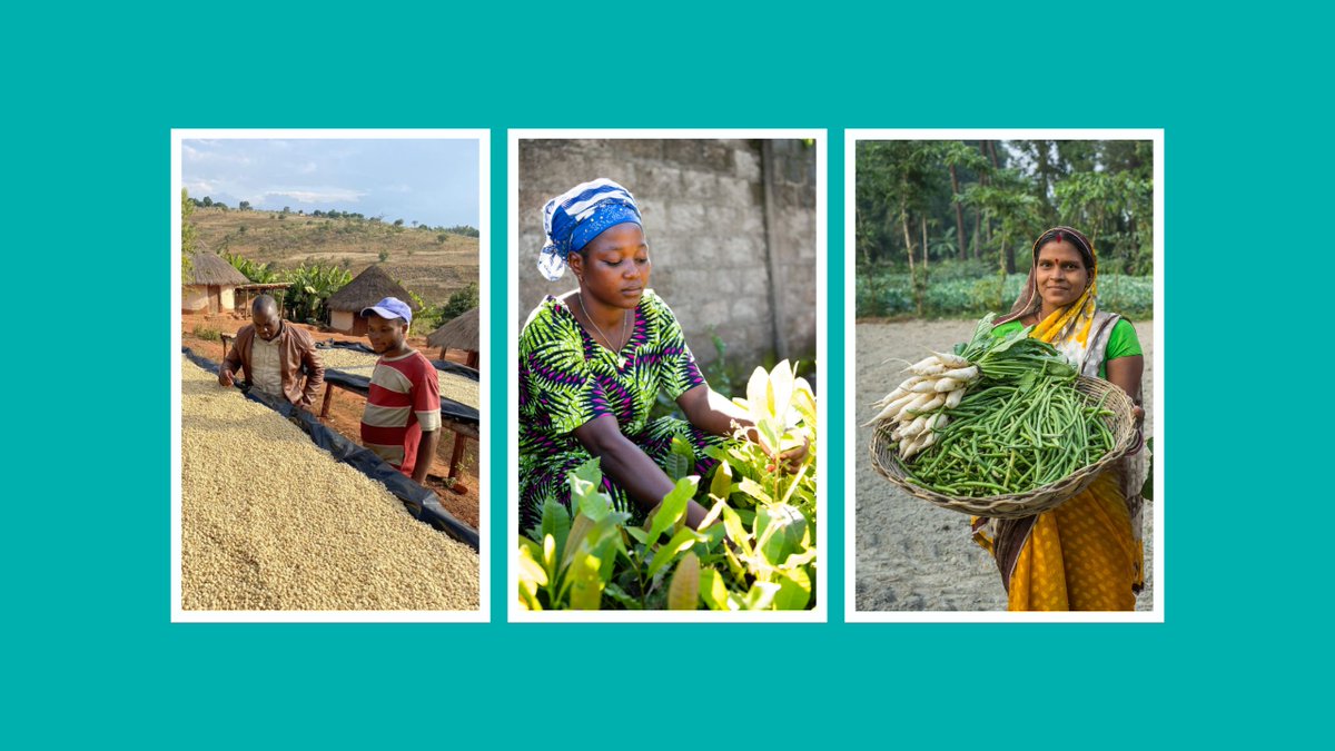 TechnoServe's tweet image. TechnoServe’s work – fighting poverty around the world – is full of striking stories and images. 

Make sure to vote for YOUR FAVORITE photo of the month1 bit.ly/47q2vBH 

#solutionstopoverty #adifferentwaytomakeadifference