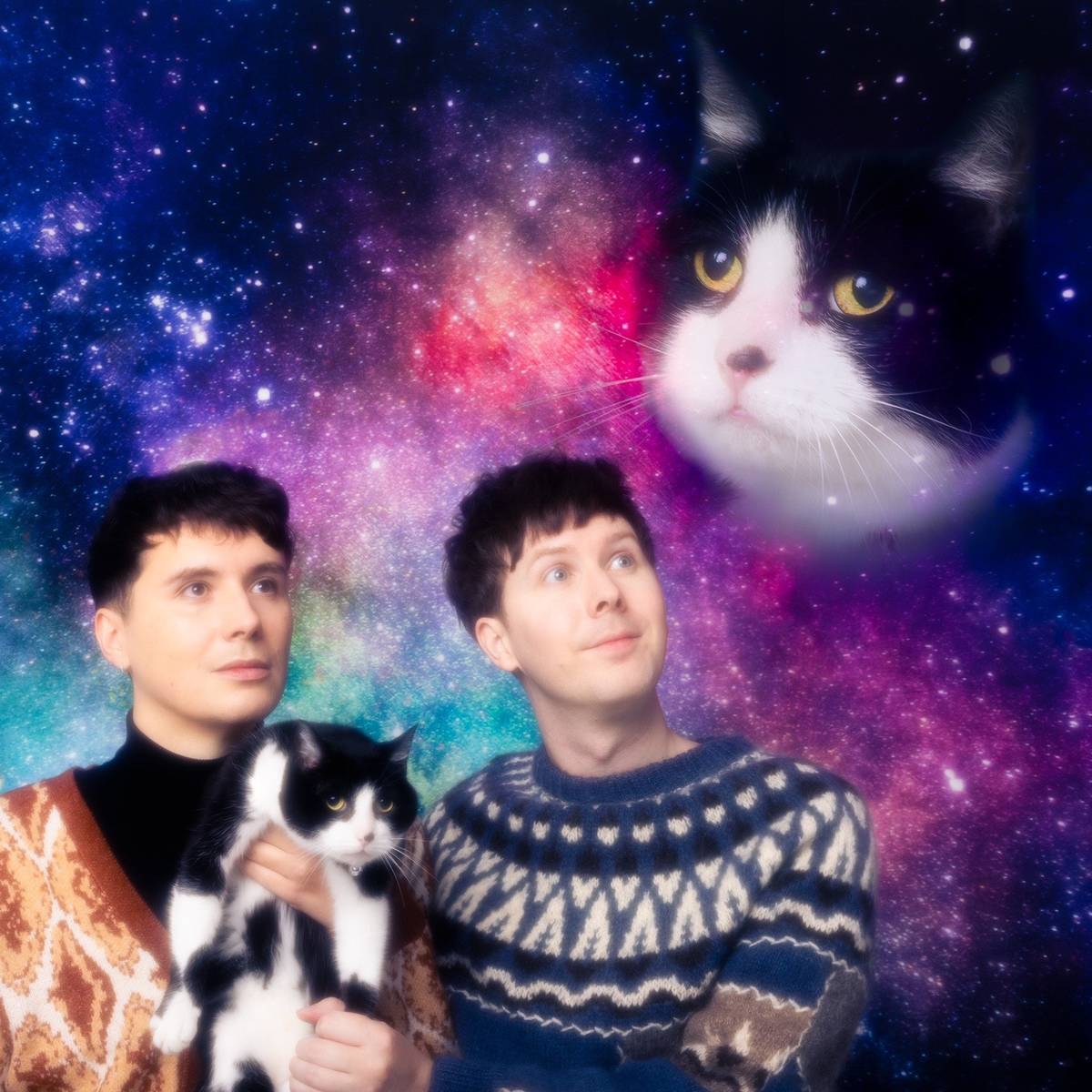 subwaymademecry's tweet photo. high quality versions of every Dan and Phil and Cats 2024 Calendar picture in one place (without the tiktok watermark) https://t.co/5aYqyHbuvh