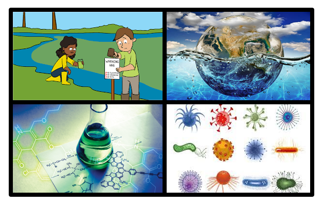 Katrina Campbell tweet media