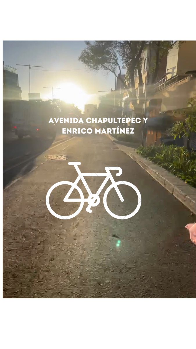 BicireporteraDF's tweet photo. Hoy llenaremos de flores el punto donde murió #Tiffany 

🗓️Viernes 24 de Noviembre
⏰18:00
📍Av. Chapultepec y Enrico Martínez

Lleva flores y velas 🕯️ 

#JusticiaParaTiffany 
#LutoCiclista https://t.co/MUp7XmK93K