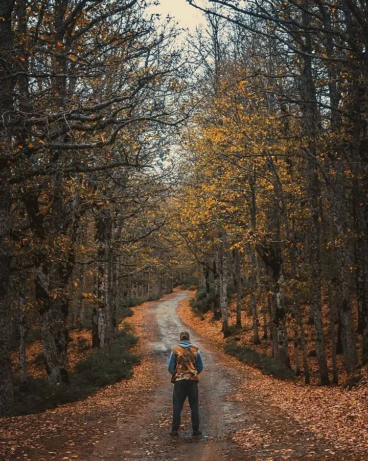 Wided28291084's tweet photo. غابة اكفادو #بجابة
#Discover_Algeria  
#visitalgeria 
#tourismalgeria 
#discoveralgeria 
#mapofalgeri https://t.co/QxvnjHnu4O