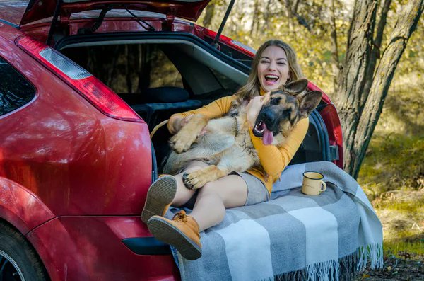 ShepherdLovers1's tweet photo. #GermanShepherd #gsd #FridayFeeling #fridaymorning #FridayVibes #FursuitFriday #NoAmericans #BestBuy #BuyNothingDay #photographychallenge https://t.co/F0te3g0Vfx