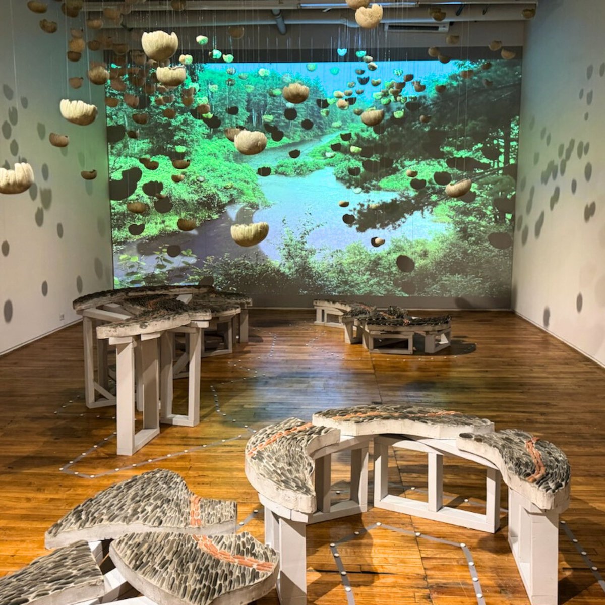 Join us at Tangled Gallery tonight from 6-8 PM for a free, hybrid artist talk with Anna Camilleri and Wy Joung Kou as part of HELD. Drop in to the gallery or sign up here for the Zoom link: docs.google.com/forms/d/1fzh_R…