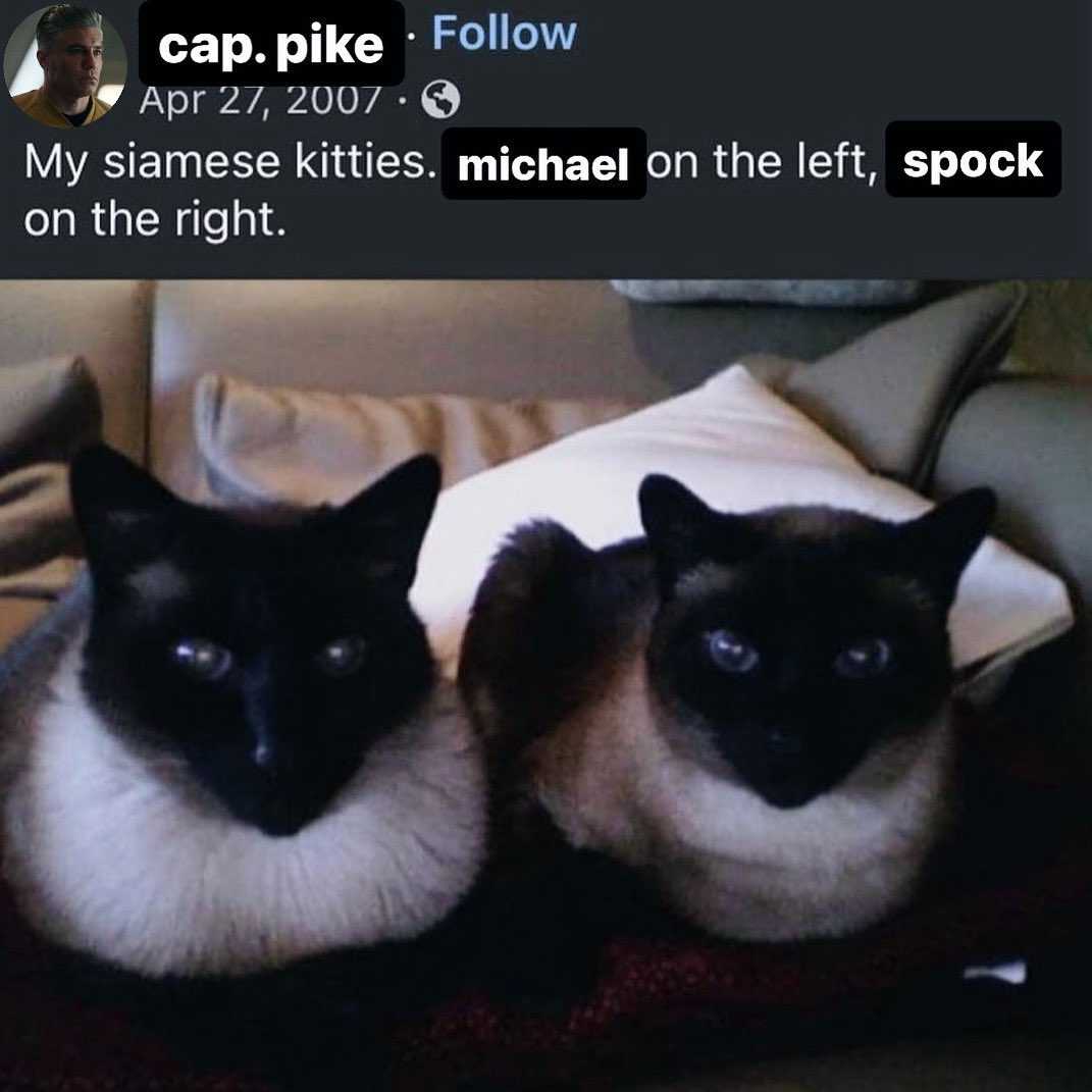 clarkpunked's tweet photo. Do you think i’m funny - Spock
#strangenewworlds #snw #startreksnw #startrek #spike #spock #michaelburnham #catspock #captainpike #chrispike https://t.co/MMEORM59Ml