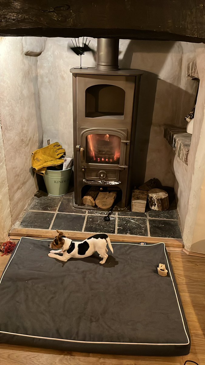 S_Dwerryhouse's tweet image. Yoga is exhausting 😆😍 #puppypower #downwarddog