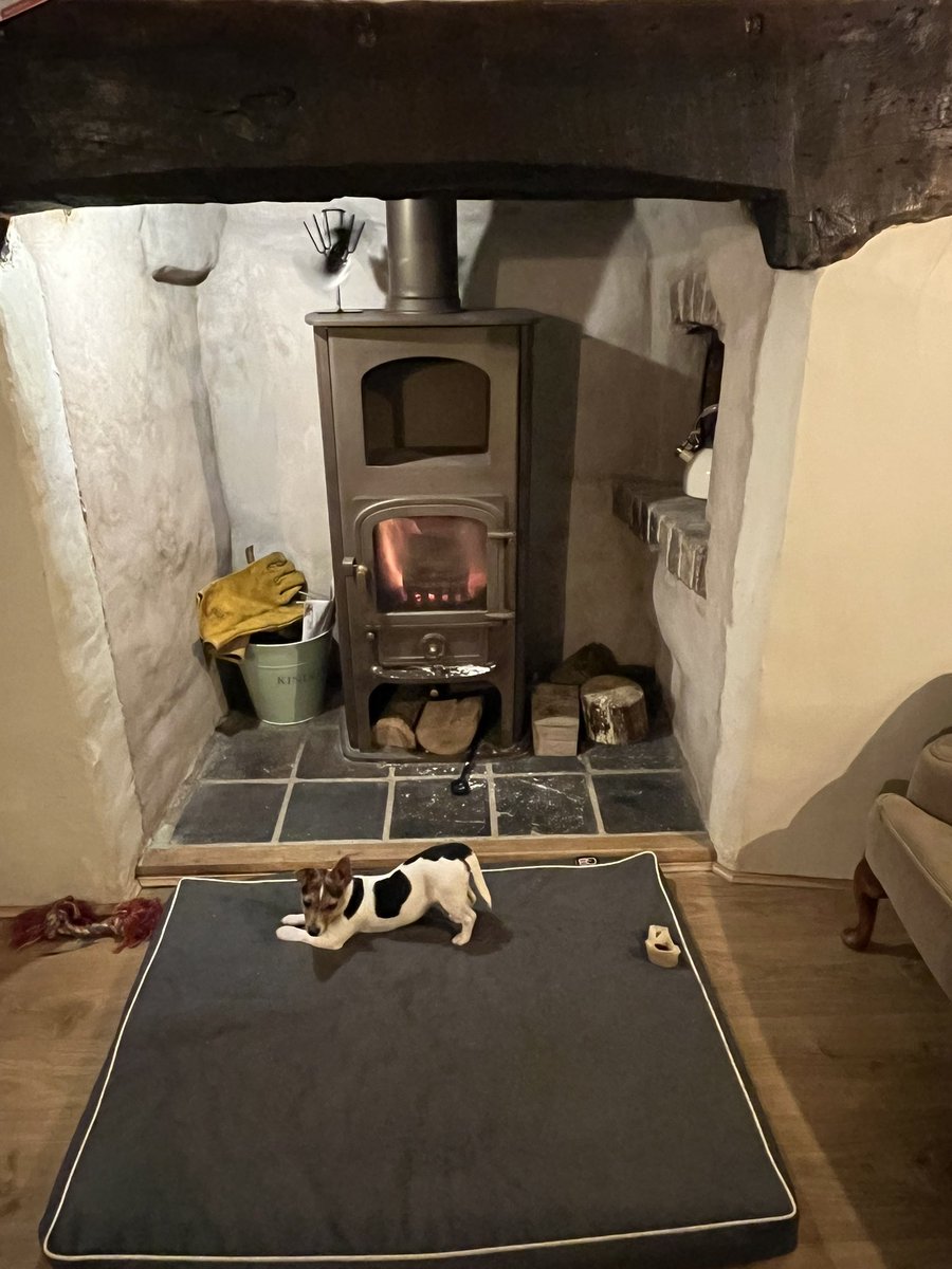 S_Dwerryhouse's tweet image. Yoga is exhausting 😆😍 #puppypower #downwarddog