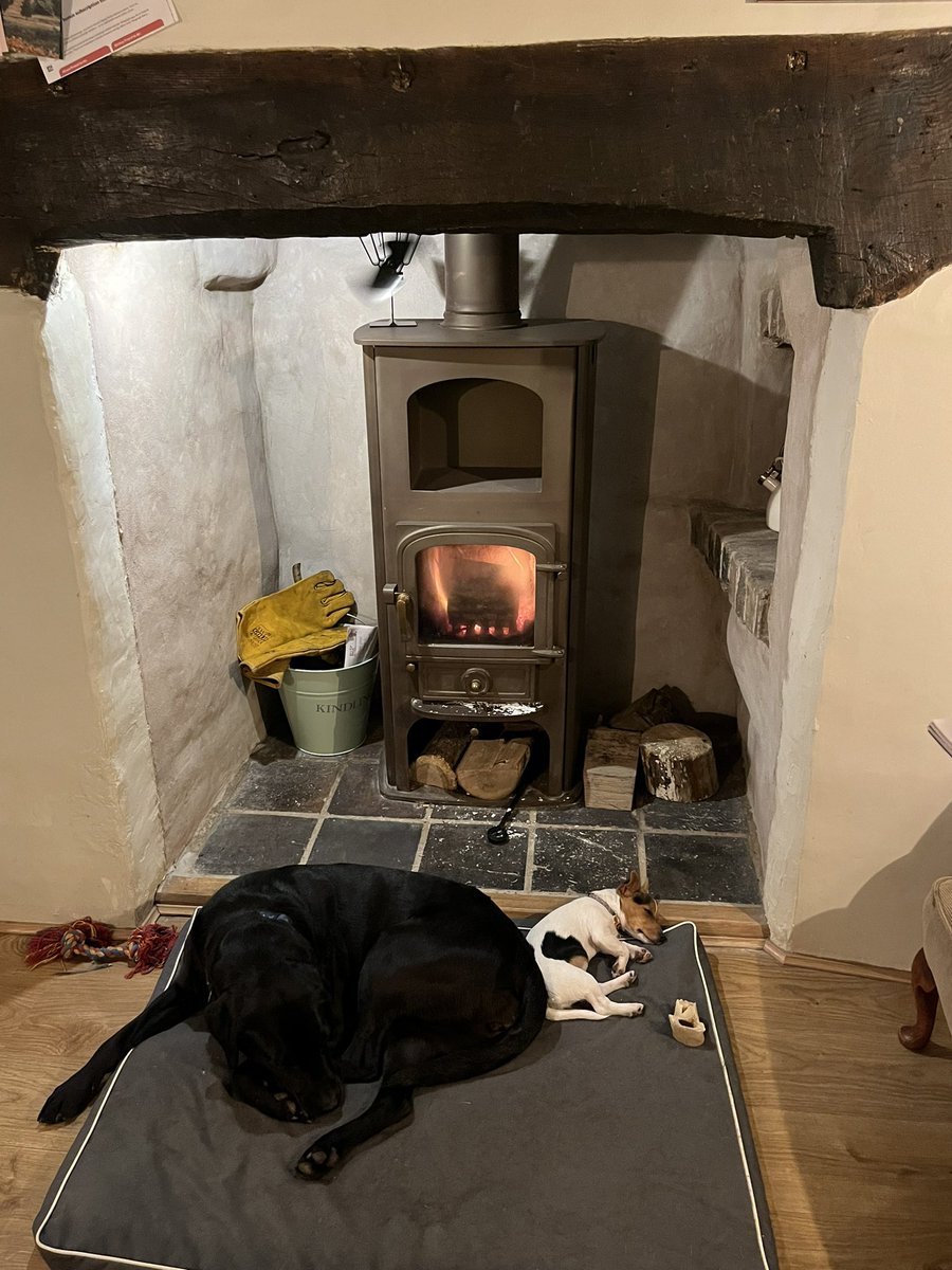 S_Dwerryhouse's tweet image. Yoga is exhausting 😆😍 #puppypower #downwarddog