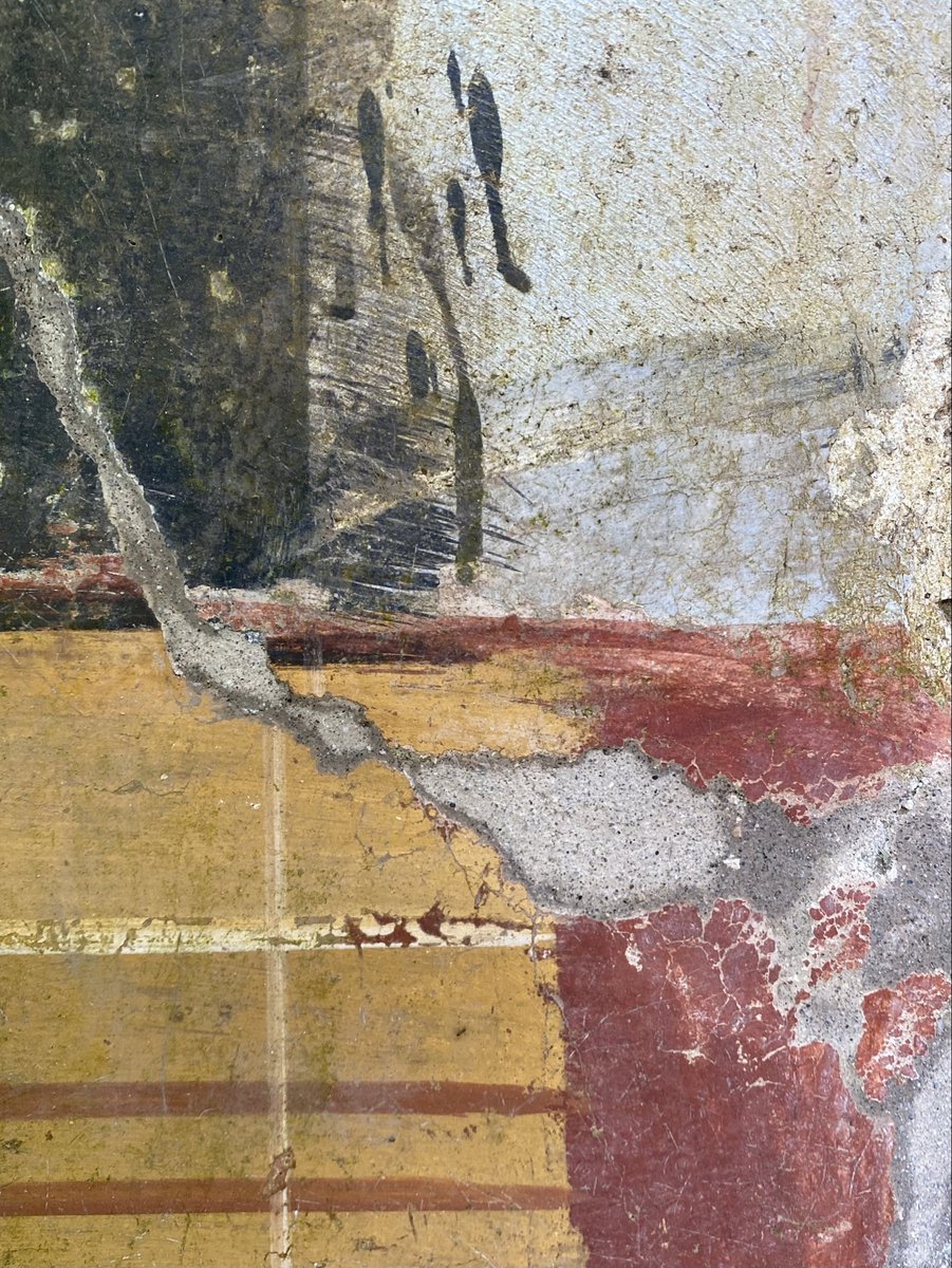 Dr Sophie Hay tweet media