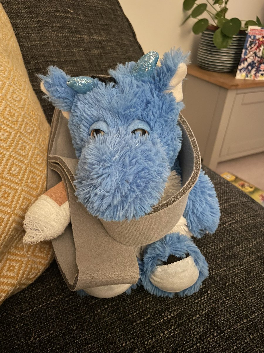 Meet Drumroll the Dragon, my son’s warmie that didn’t leave his side this week as he recovered from a painful broken elbow. Drumroll even went into surgery ❤️. Very grateful to the amazing staff <a href="/CUH_NHS/">Cambridge University Hospitals NHS</a> for looking after us so well this week. Glad to be home!