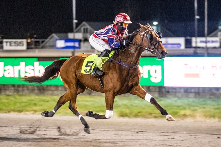 Stall Hamre tweet media