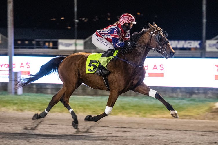 Stall Hamre tweet media