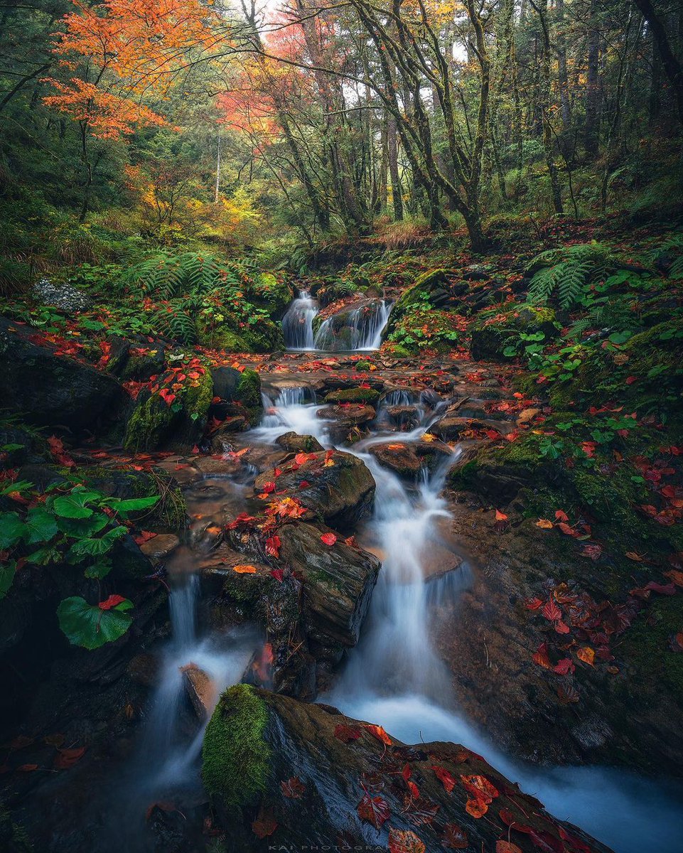 There is no better scenery than in memory, so the best thing is not to revisit the same place.