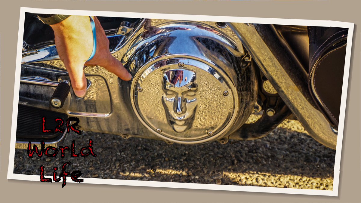 L2Rworld's tweet photo. Not afraid to FACE the world head on!

#l2rworld
#motorcycles
#motorcycling
#motorcyclelife
#motorcyclelifestyle https://t.co/2ihQ5AOt52