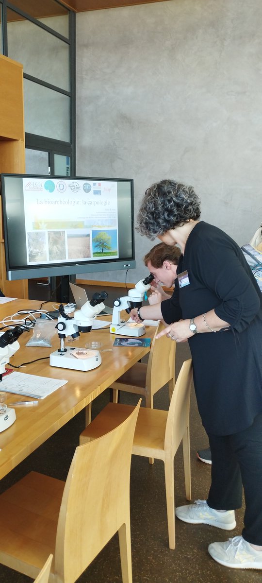 ✨ 👩‍🔬 [Vendredi avec Sciences de Nuit] 👨‍🔬 ✨ 
La carpologie ? C'est l'étude des restes de graines et de fruits préservés en contexte archéologique. Nuria Rovira, avait mis en place un atelier de tri de restes de graines qui permettait de découvrir une spécificité de son métier.