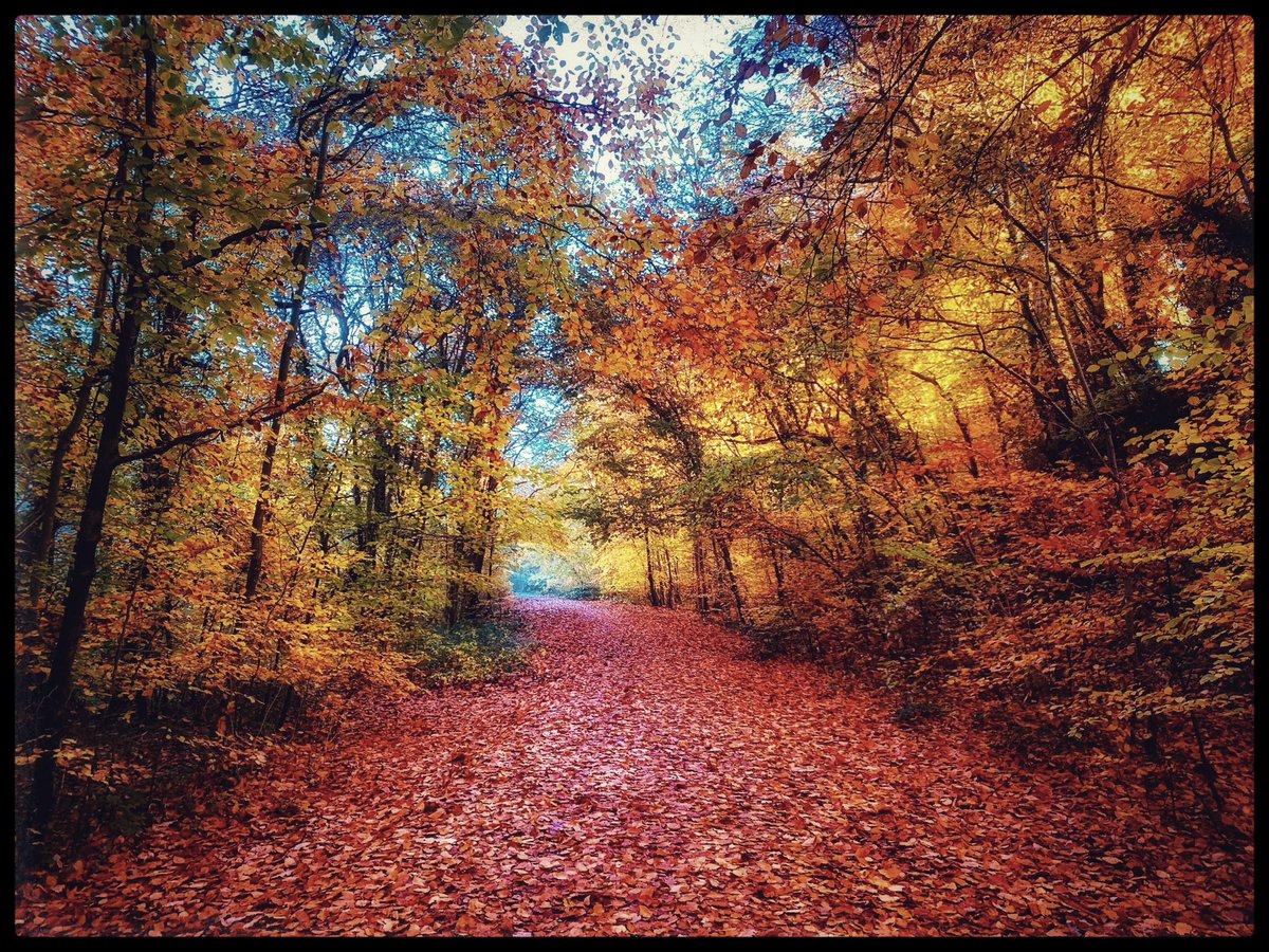 #Autumnfeels 🤎💚🩵🧡💛 #Pontypridd @StormHour @ThePhotoHour @ItsYourWales #AutumnVibes #HappyFriday #FridayFeeling 🍂🍁🍂🍁