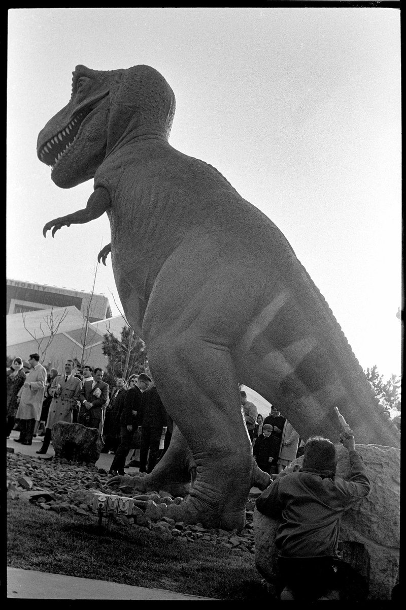thenightfox.eth (@thenightfox_eth) on Twitter photo Below a Tyrannosaurus Rex statue at the World’s Fair in New York, men stand obediently, juxtaposed with a bold child wielding a toy gun. NYC, 1964
Sequels #189 by <a href="/joelmeyerowitz/">Joel Meyerowitz</a>
Curated by <a href="/fellowshiptrust/">Fellowship</a> Below a Tyrannosaurus Rex statue at the World’s Fair in New York, men stand obediently, juxtaposed with a bold child wielding a toy gun. NYC, 1964
Sequels #189 by <a href="/joelmeyerowitz/">Joel Meyerowitz</a>
Curated by <a href="/fellowshiptrust/">Fellowship</a>