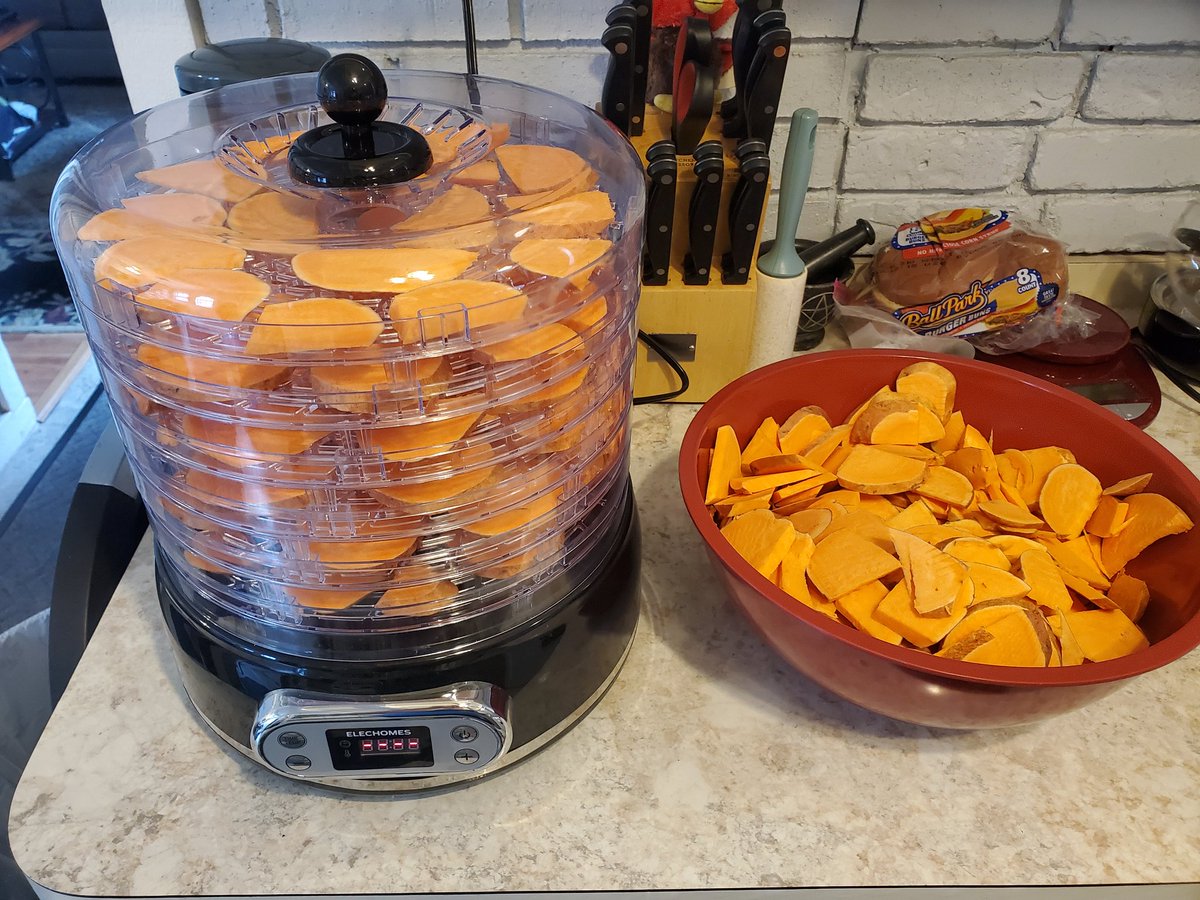 SincerelyHiatus's tweet photo. @bunsenbernerbmd We've been making @BowserKlopp dehydrated sweet potato chips! Sliced with a mandoline and slapped in the dehydrator at 140 degrees for ~8 hours and he loves them ❤️ https://t.co/KT5xg0Fl3r