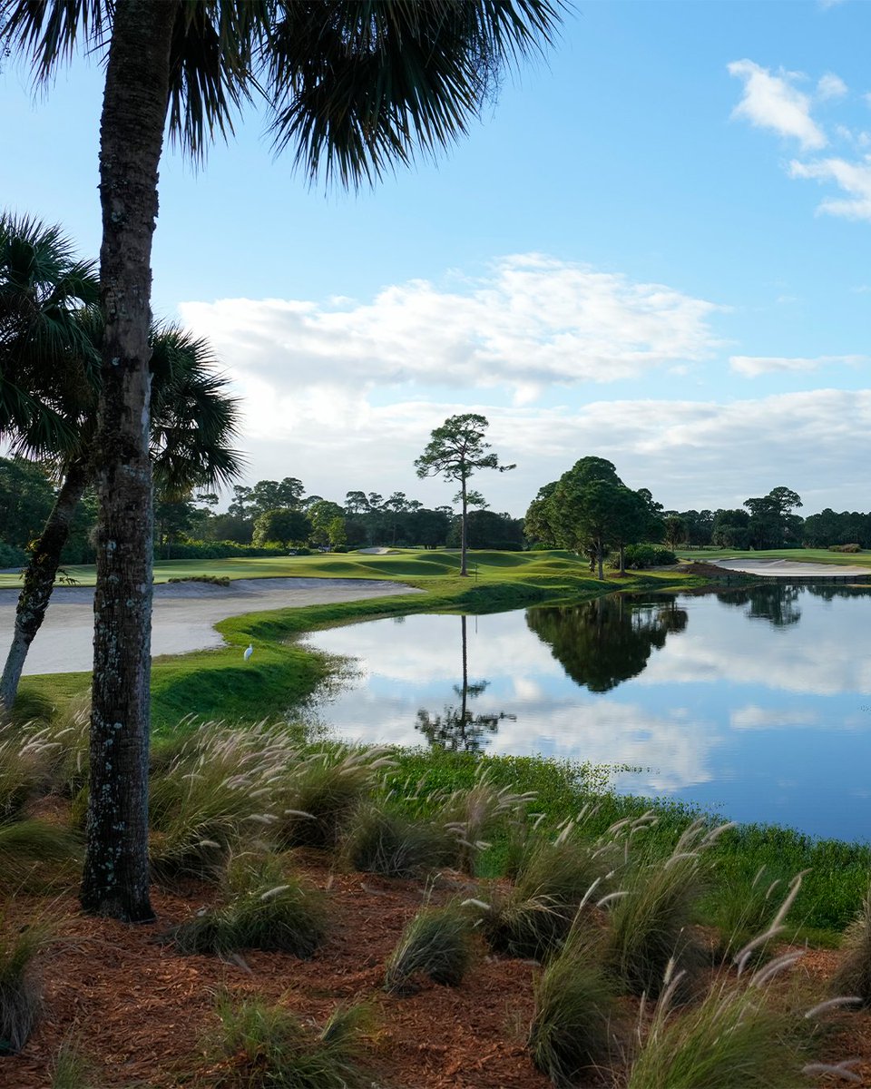 PGA's tweet photo. A little inspiration for anyone thinking about going shopping instead of getting out to play ⛳️ https://t.co/TwSp3ilUiU