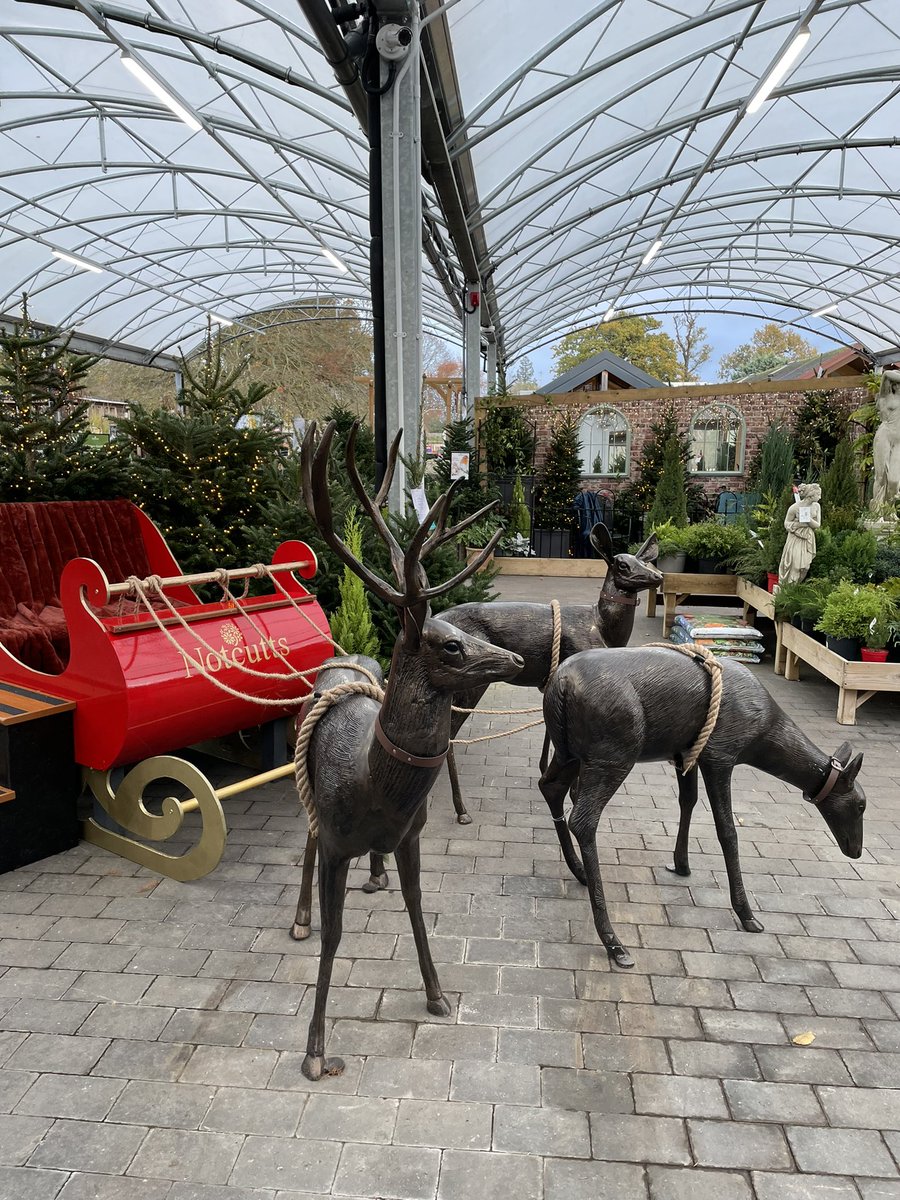 Amy White 🐭 tweet media