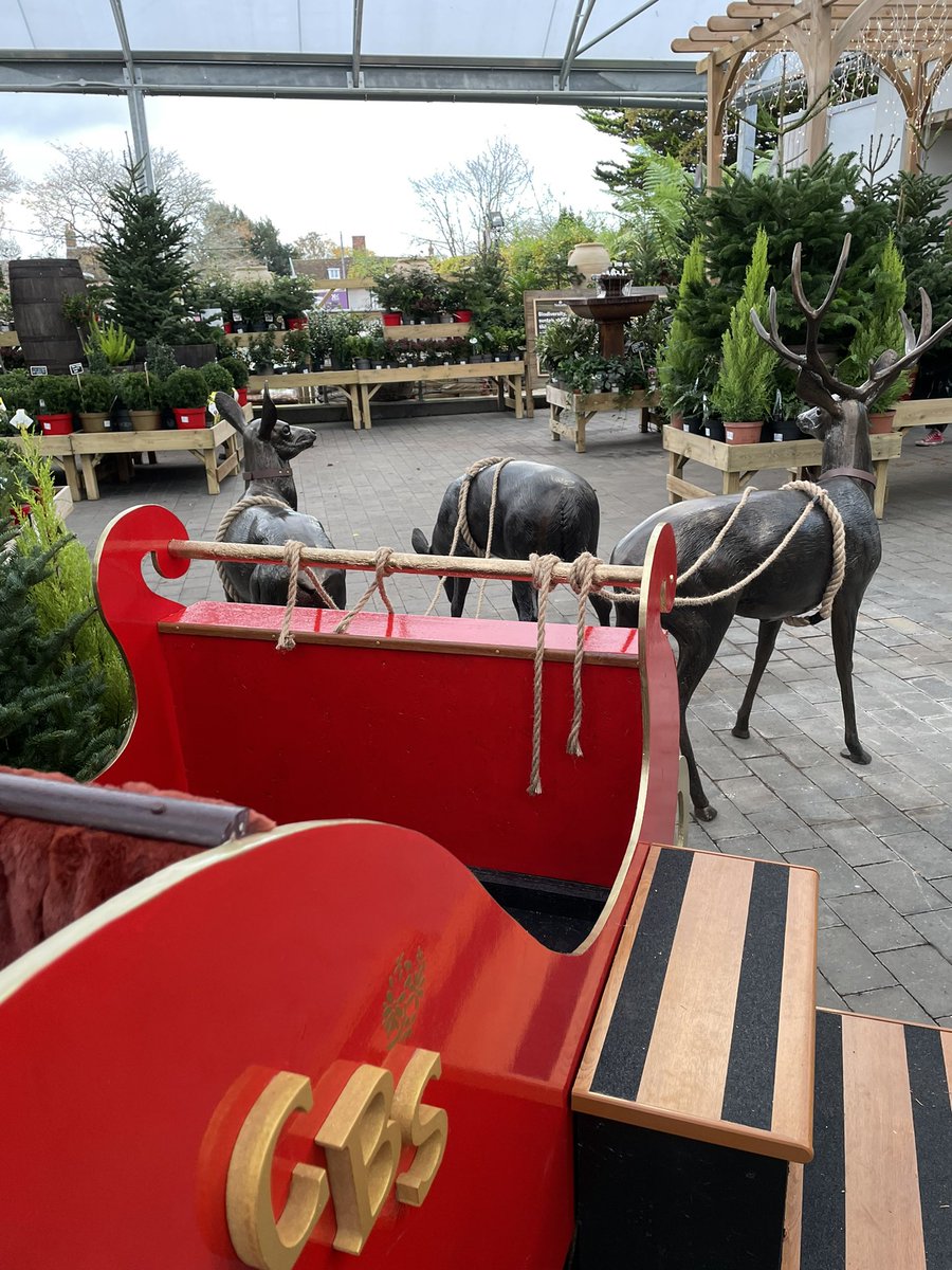 Love the sleigh 🛷 and reindeer display @Notcuttsuk #Woodbridge 😊