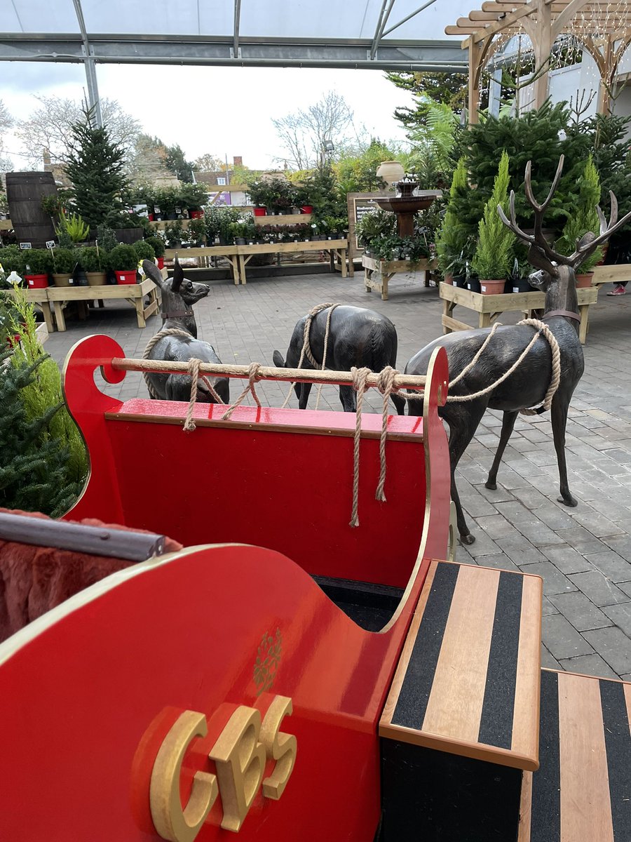 Love the sleigh 🛷 and reindeer display <a href="/Notcuttsuk/">Notcutts Garden Centres</a> #Woodbridge 😊