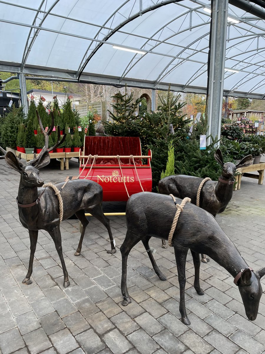 Amy White 🐭 tweet media