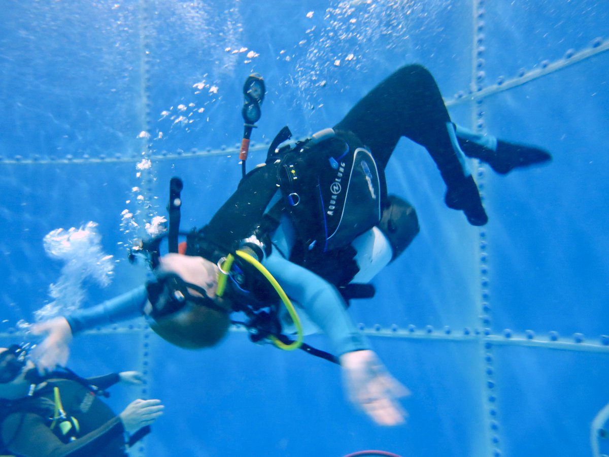 Join Harry in his exciting Scuba Explorers session.
Make this Christmas unforgettable by signing your young adventurers up for our scuba explorers course!  Don't miss out—book now and give them the chance to explore a whole new world beneath the waves! 🎄🌊 #ScubaExplorers